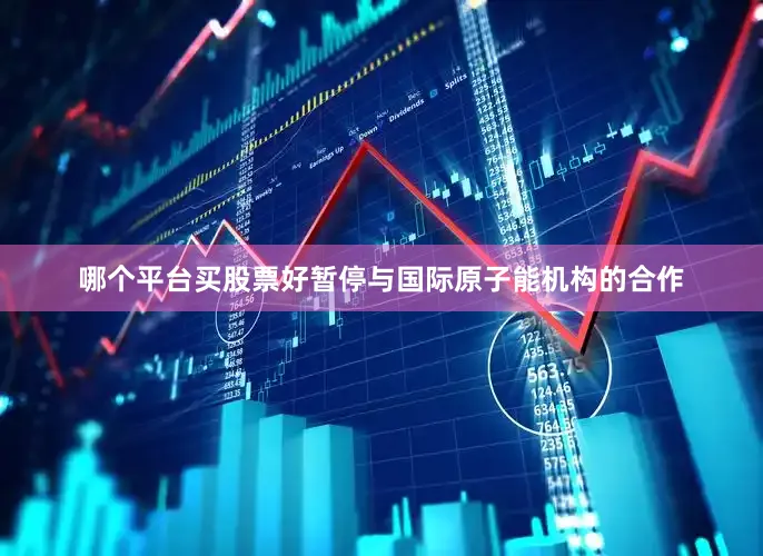 哪个平台买股票好暂停与国际原子能机构的合作