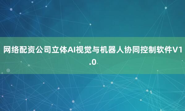 网络配资公司立体AI视觉与机器人协同控制软件V1.0