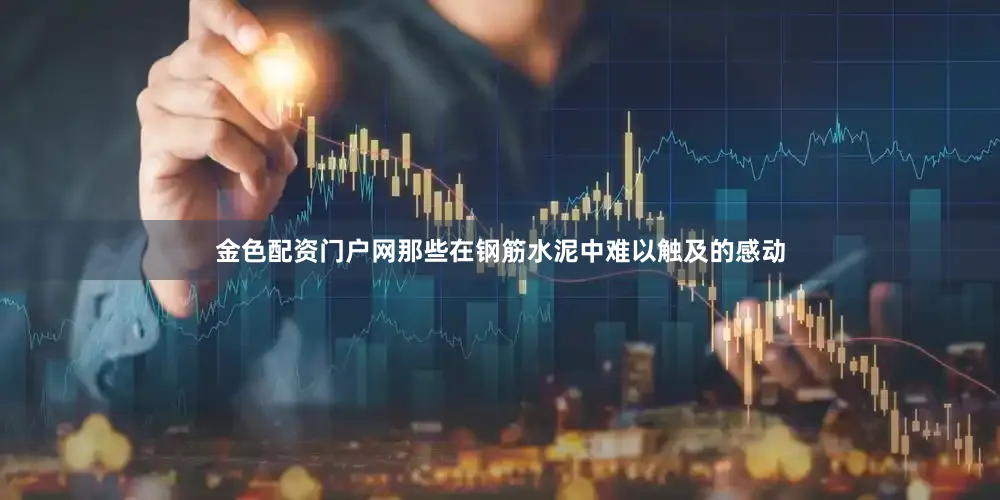 金色配资门户网那些在钢筋水泥中难以触及的感动